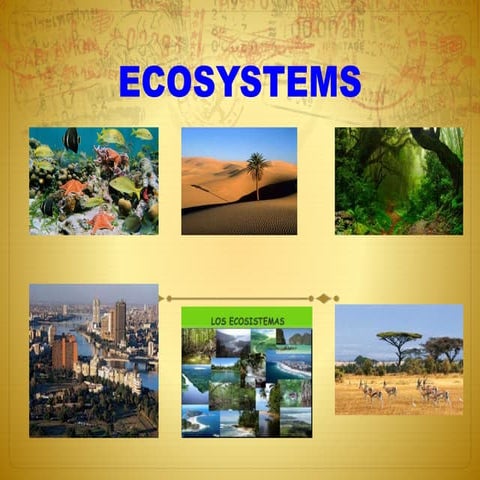 Coralreef ecosystems | PPTX