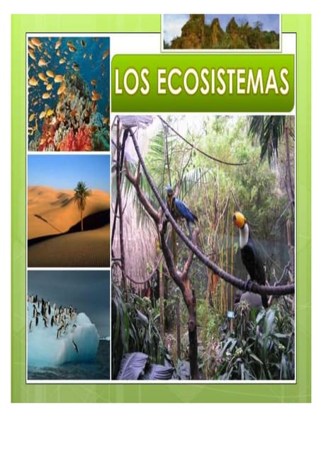 Ecosistemas