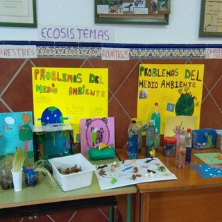 EXPOSICIÓN: LOS ECOSISTEMAS