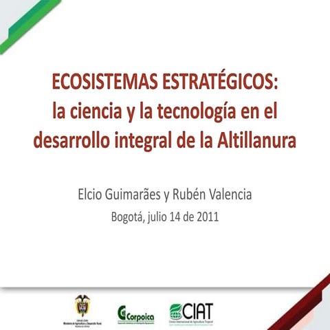 Ecosistemas estrategicos altillanura-colombia