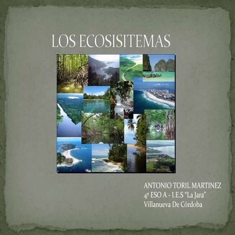 Presentacion sobre ecosistemas | PPTX