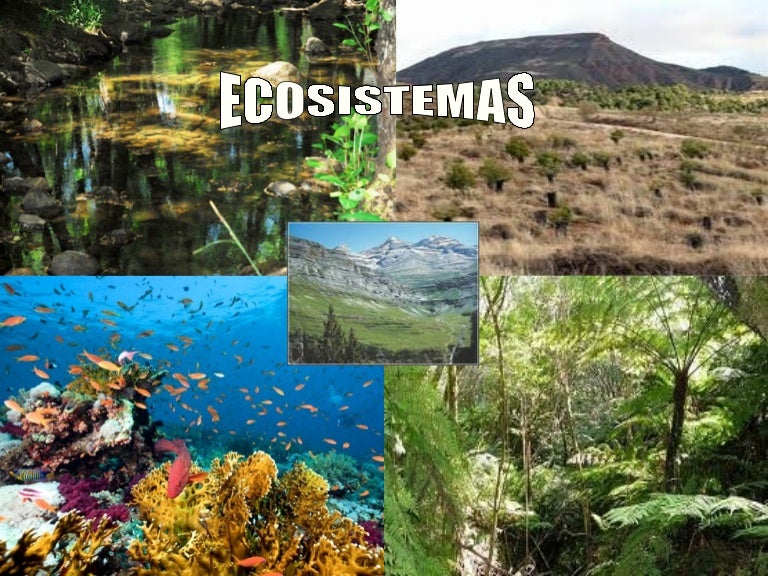 Ecosistemas1