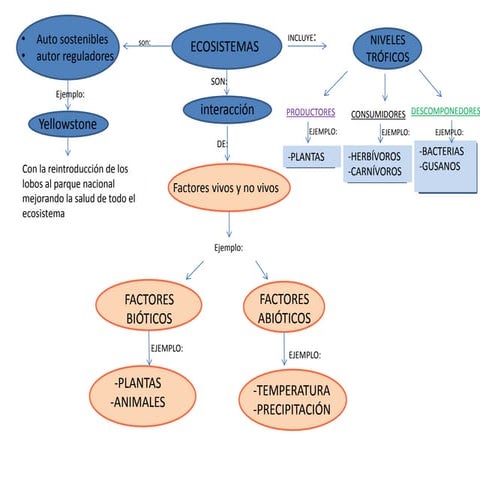 Mapa conceptual de ecosistemas