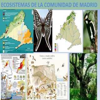 Ecosistemas de la_comunidad_de_madrid