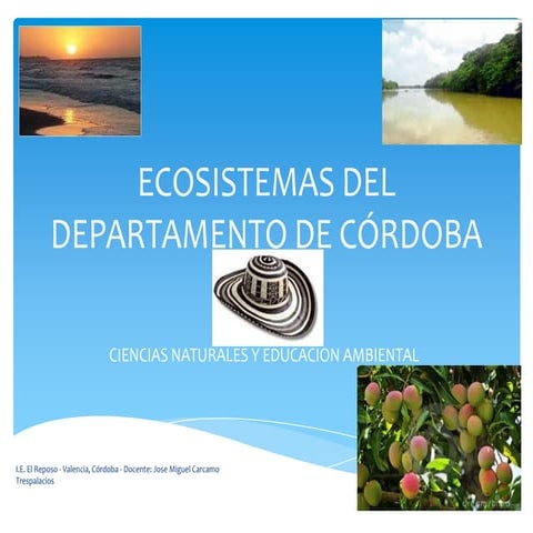 Ecosistemas del departamento de córdoba   colombia