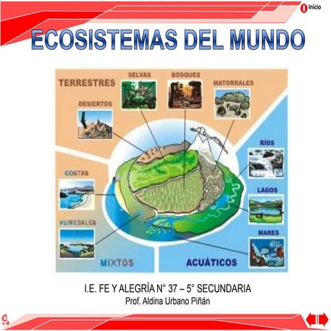 Ecosistemas del mundo