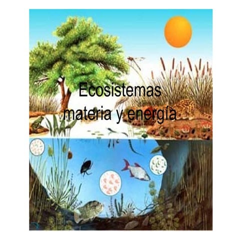 Ecosistemas ii