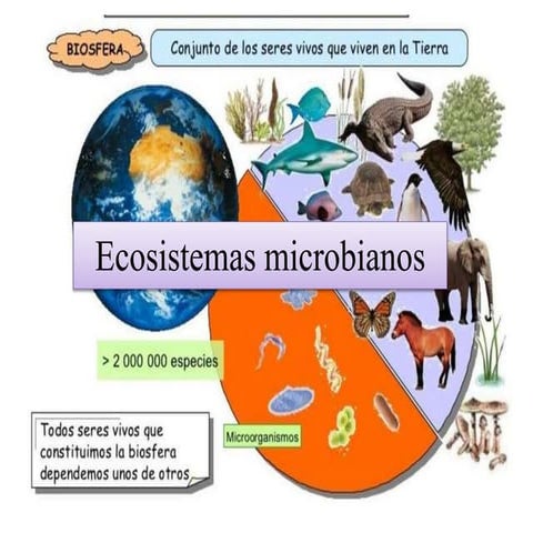 Ecosistemas microbianos2022A.pptx