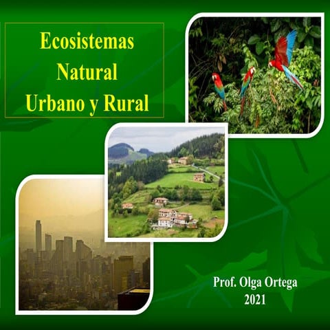 Ecosistemas Natural, Rural y urbano 2021.pptx