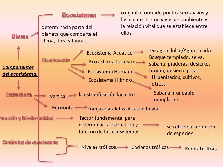 Ecosistemas sinoptico