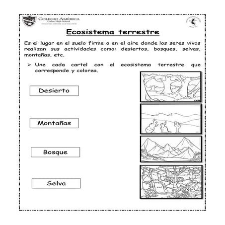 ECOSISTEMA TERRESTRE Y ACUÁTICO - MARÍA CRISTINA DELGADO TORRES