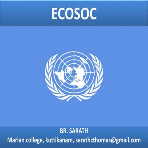 Economic and Social Counsil of United Nations  (ECOSOC) 