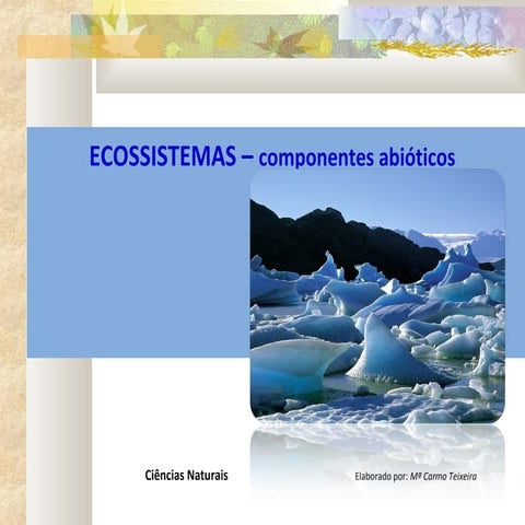 Ecossistemas - fatores abióticos