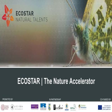 ECOSTAR The Nature Accelerator