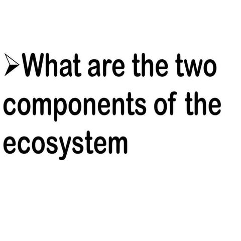 Components of the Ecosystem and Ecological Relationships 