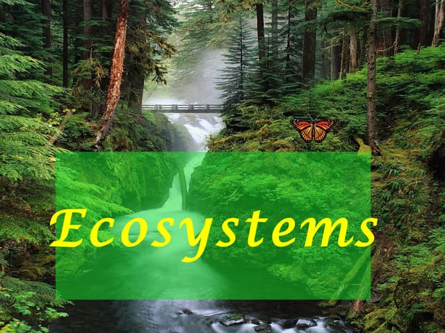 Ecosystem (Described very attractively)