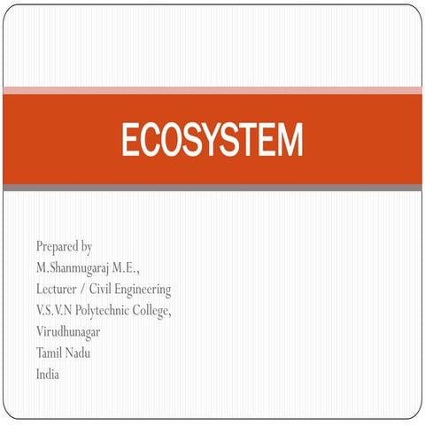 Ecosystem