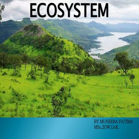 Ecosystem | PPTX