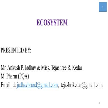 Ecosystem