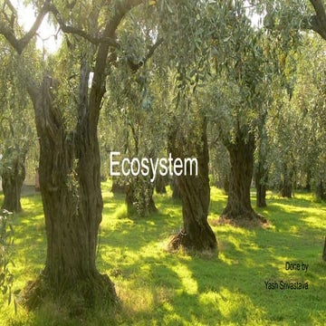 Ecosystem