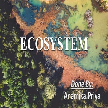 Ecosystem