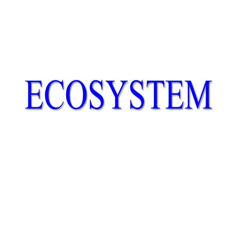 Ecosystem