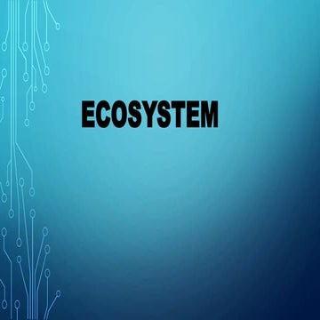 Ecosystem