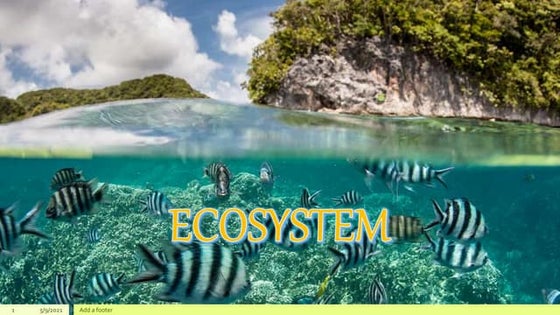 LIVING AND NON LIVING THINGS | PDF