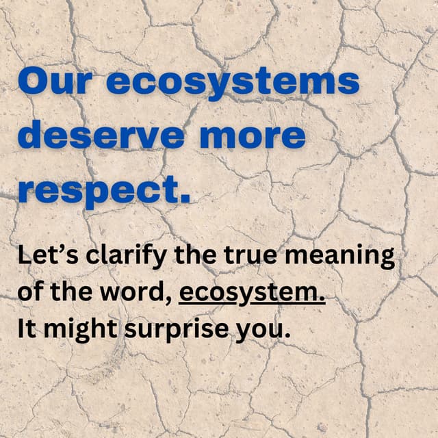 What is a real ecosystem? And how can you respect nature?