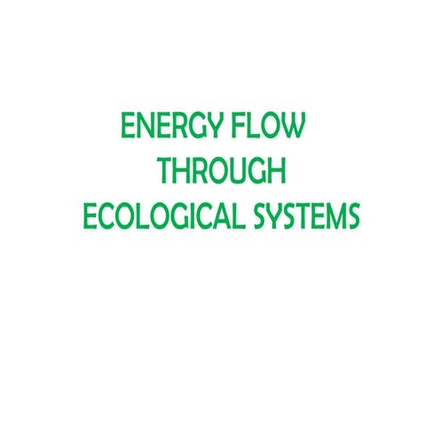ecosystem -2 energyflow.pdf