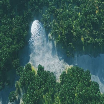 Ecosystem-Interactions-Class-Discussion-Presentation-in-Blue-Green-Lined-Styl...