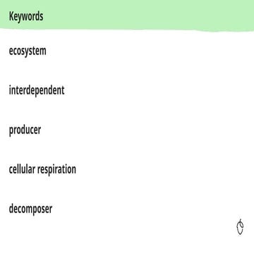 ECOSYSTEM - INTERDEPENDENCE OF ORGANISMS.pptx