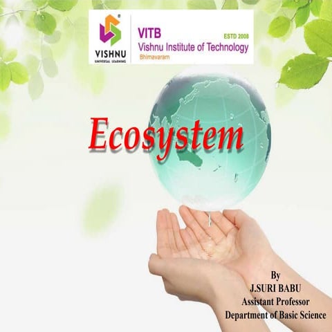 Ecosystem-JSB.pptx