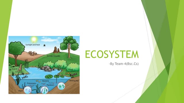 Ecosystem