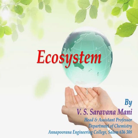 Ecosystem