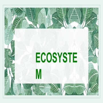 ECOSYSTEM -WPS Office.pptx