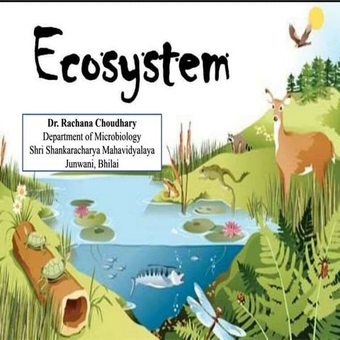 Ppt on ecosystem | PPTX