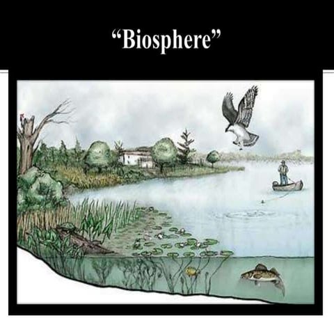 HS Science 2 (Biology) lesson-Ecosystem 