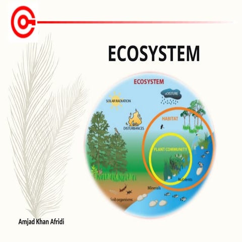 Ecosystem and  Community                   .
