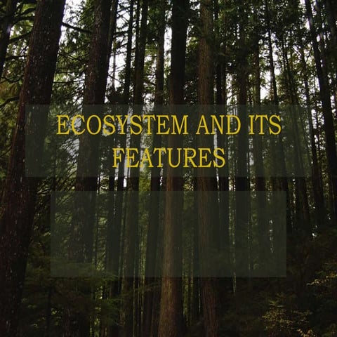 Ecosystem and its features final