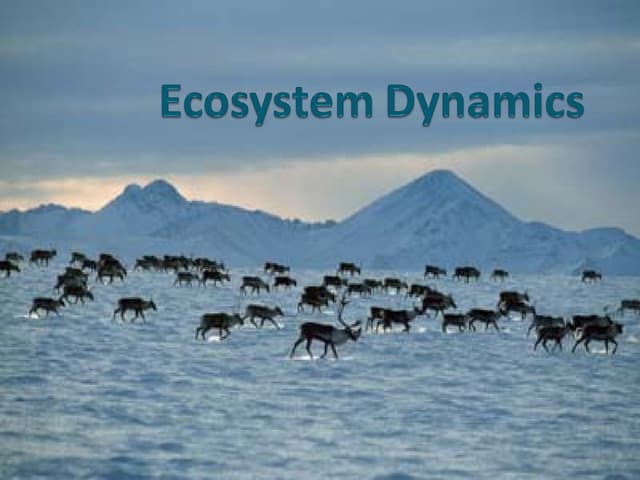 Ecosystem and Population Dynamics