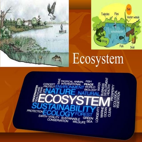 ECOSYSTEM Classification Structure & Functioning (1).pdf