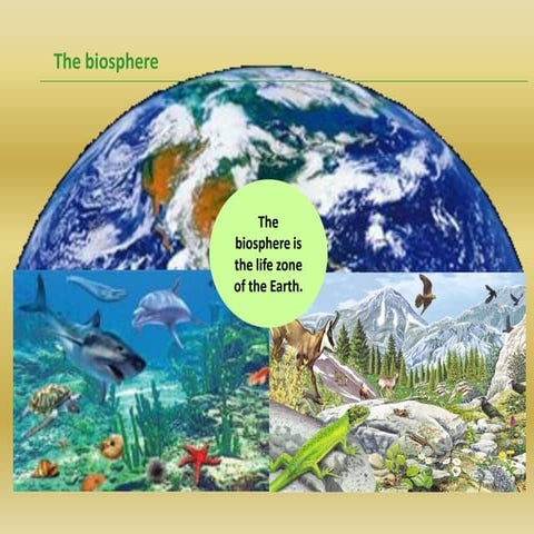 Ecosystem definitions | PDF
