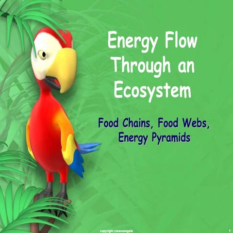EcosystemEnergyFlow.ppt