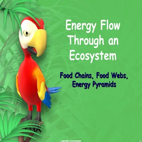 Ecosystem  Energy   Flow11111111111111111111.ppt