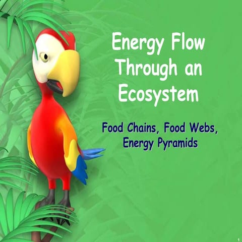 Ecosystem energyflow with qs