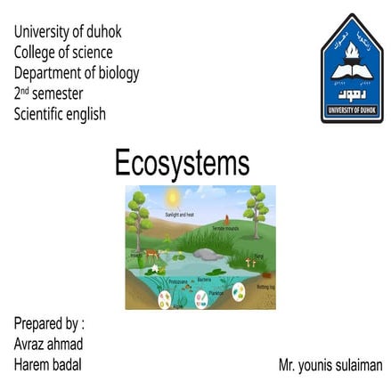 Comprehensive Overview of Ecosystems: Types, Components, and Human ...