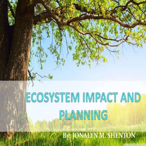 Ecosystem impact and planning