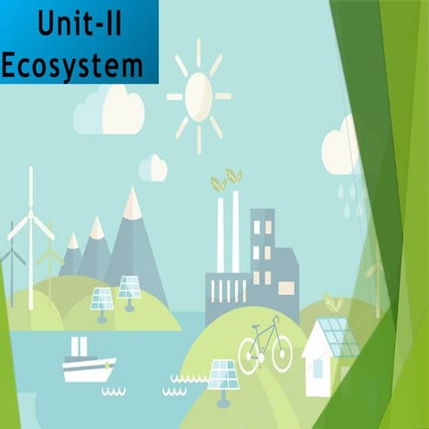 Ecosystem:Structure and Function | PPTX