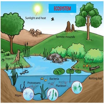 ecosystem open elective.pptx